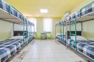 Хостел Файна Птиця. Место в общем 8-местном номере  3