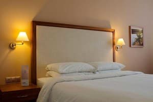 Отель Хортица Палац. Делюкс двухместный Tower  3