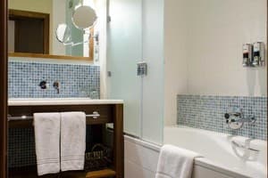 Отель Хортица Палац. Делюкс двухместный Tower  5