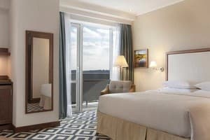 Отель Хортица Палац. Делюкс двухместный Tower Balcony  1