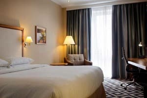 Отель Хортица Палац. Улучшенный двухместный Tower 2