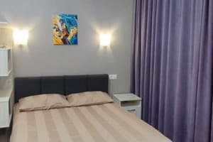 Квартира Студія з ванною в центрі Олександрівського району. Люкс двухместный  6