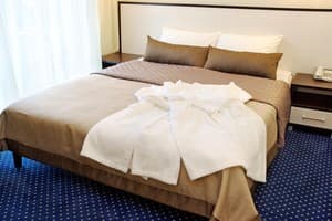 Отель Театральный. Бизнес двухместный  1