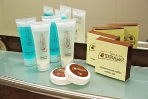 Отель Театральный. Полулюкс двухместный  4