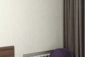 Квартира В историческом центре города. Люкс двухместный  2