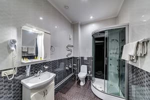 Отель Венеция . Полулюкс двухместный Double 3