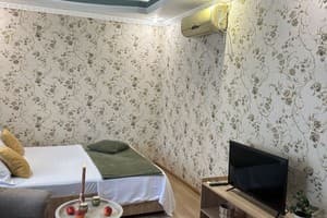 Квартира Zp apartment Avtozavodskaya, 10. Апартаменты двухместный  1