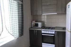 Квартира Zp apartments of Vladimir Ukrainets, 21. Апартаменты двухместный  5