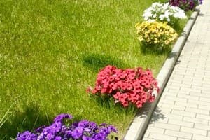 в новостройке Центр, проспект Соборный 15