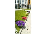 в новостройке Центр, проспект Соборный 15
