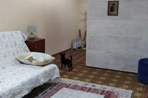  возле Андреевского Собора 6